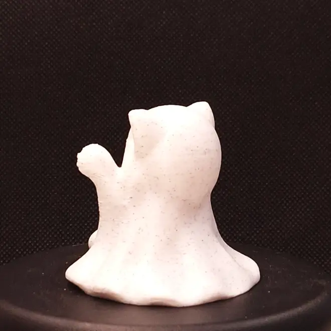 Ghost Kitty 